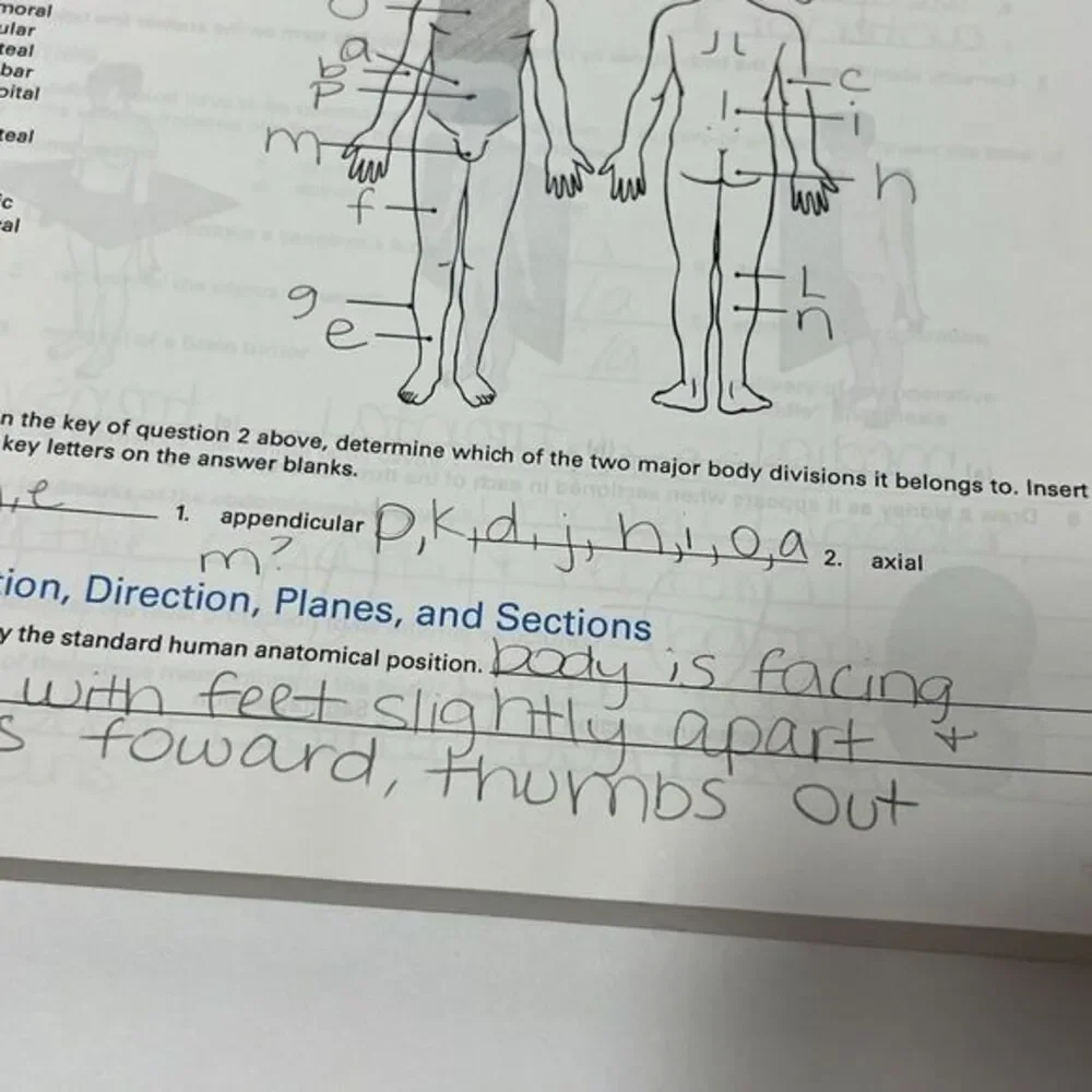 Anatomy and Physiology, Volume 1 (BSC2085‎ )